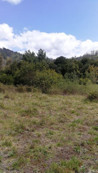 Hermosos terrenos rurales. Saneados.