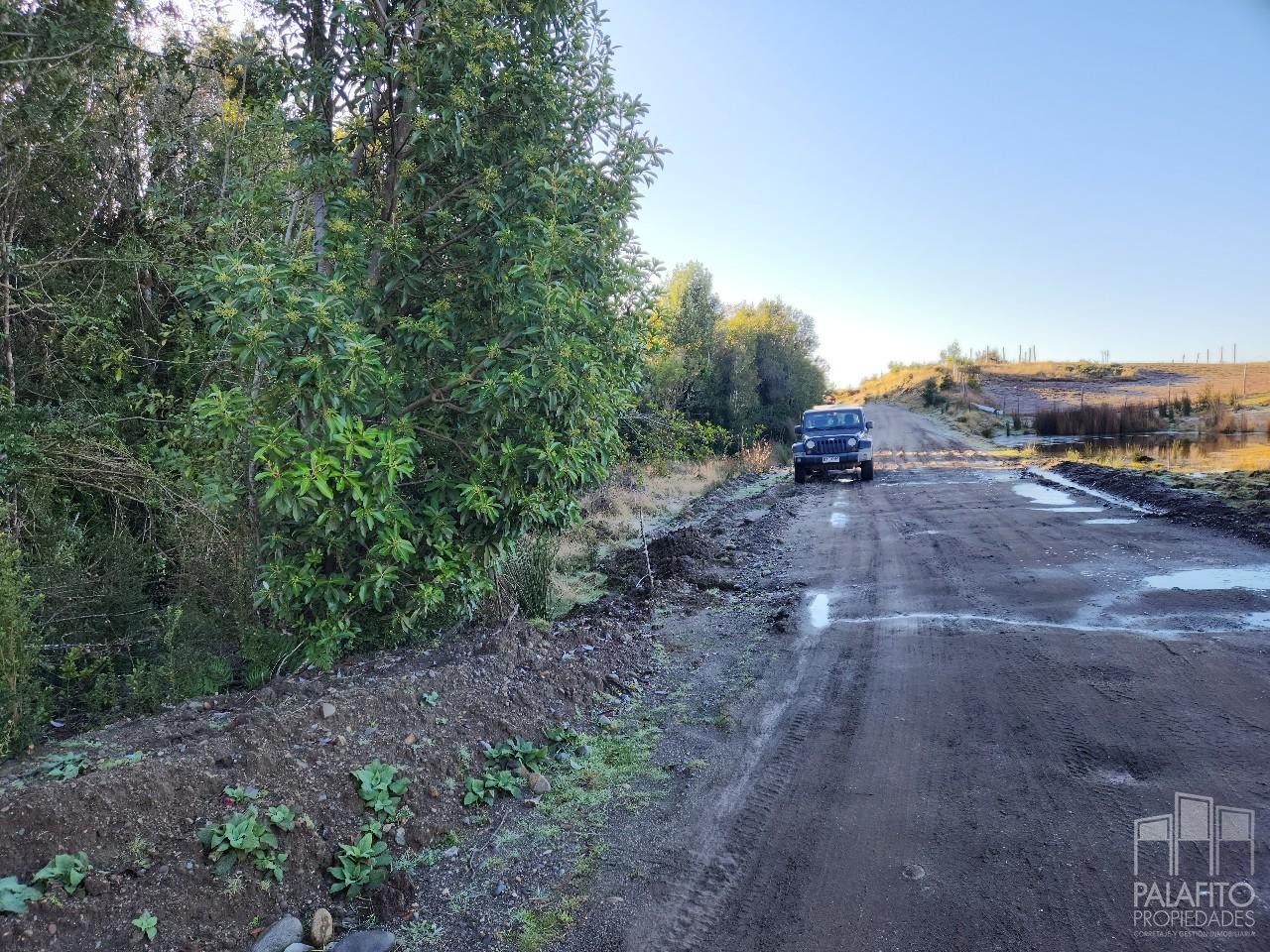 Terreno de 1 ha con bosque nativo, Castro, sector Llicaldad.