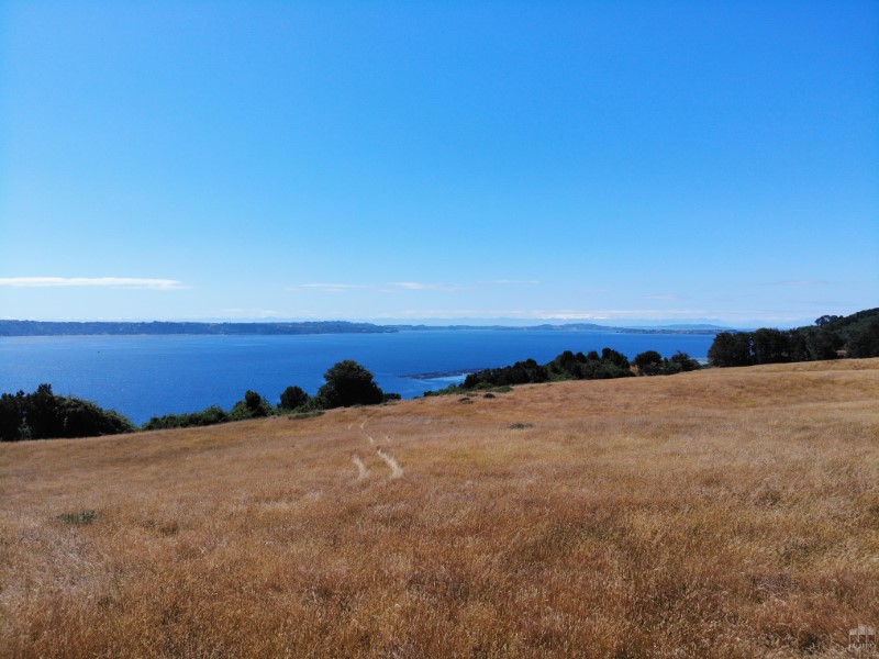 campo en Castro 4,5 ha con amplia vista al Mar y a Isla Quinchao