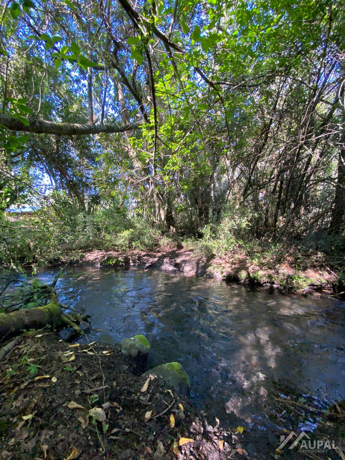 SE VENDE CUATROS HECTAREAS CERCA DE PUCON Y VILLARICA