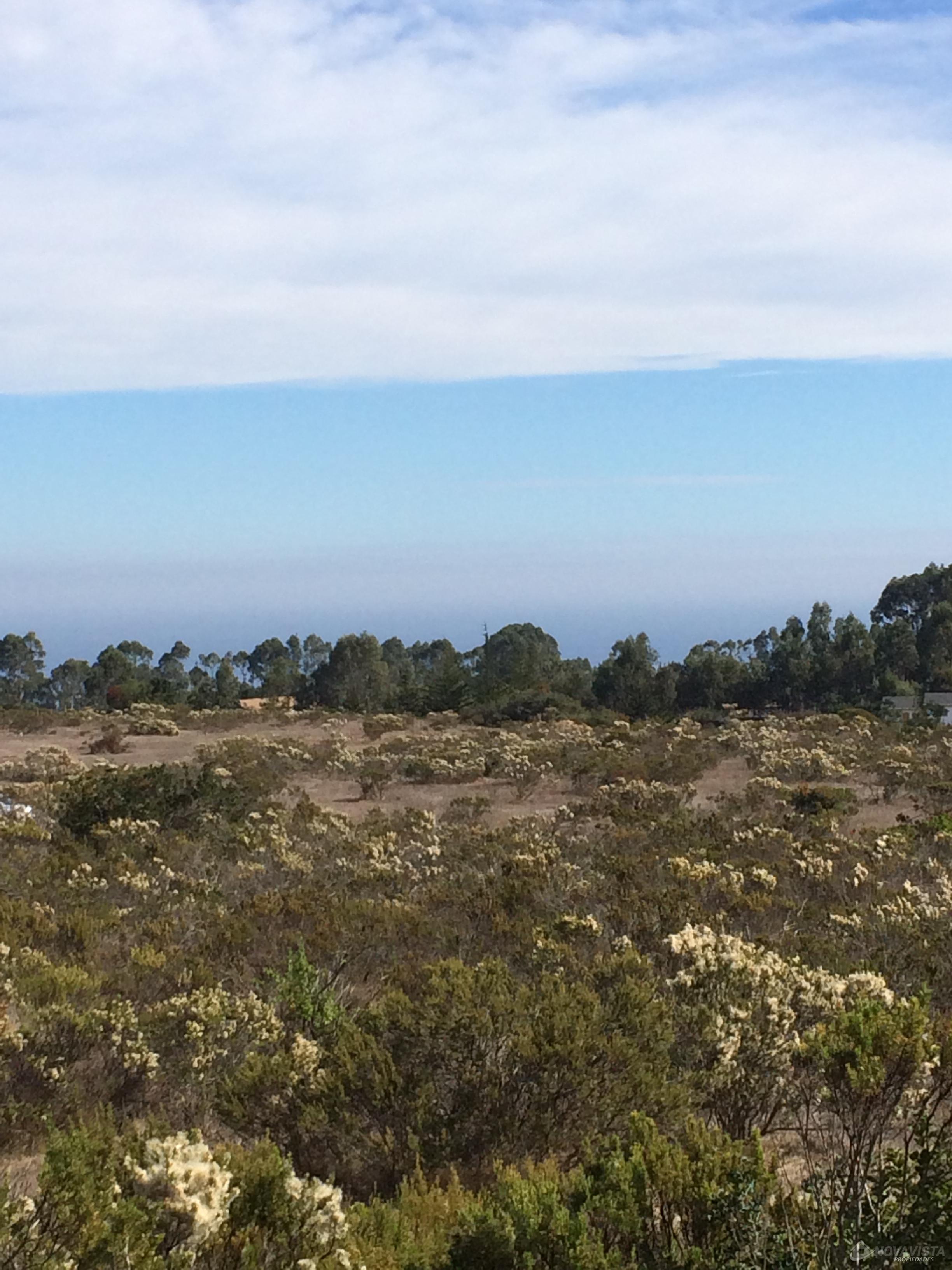 Terreno Algarrobo sector el Yeco