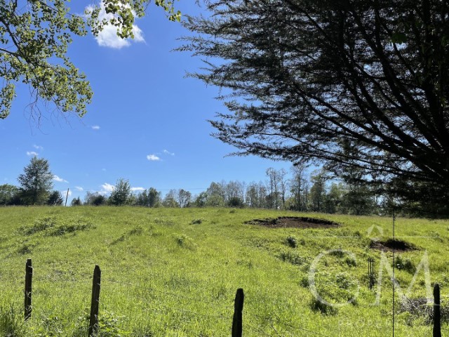 Terreno camino Valdivia-Mafil