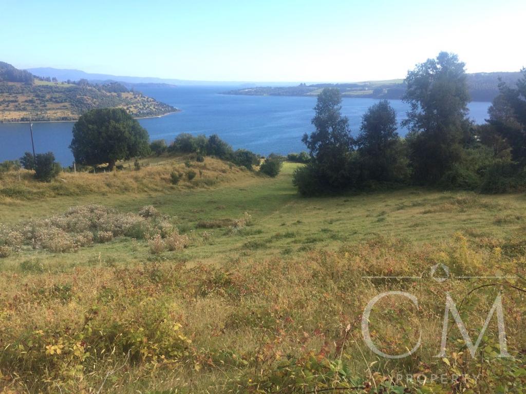 Espectacular parcela  con vista a Lago  Ranco