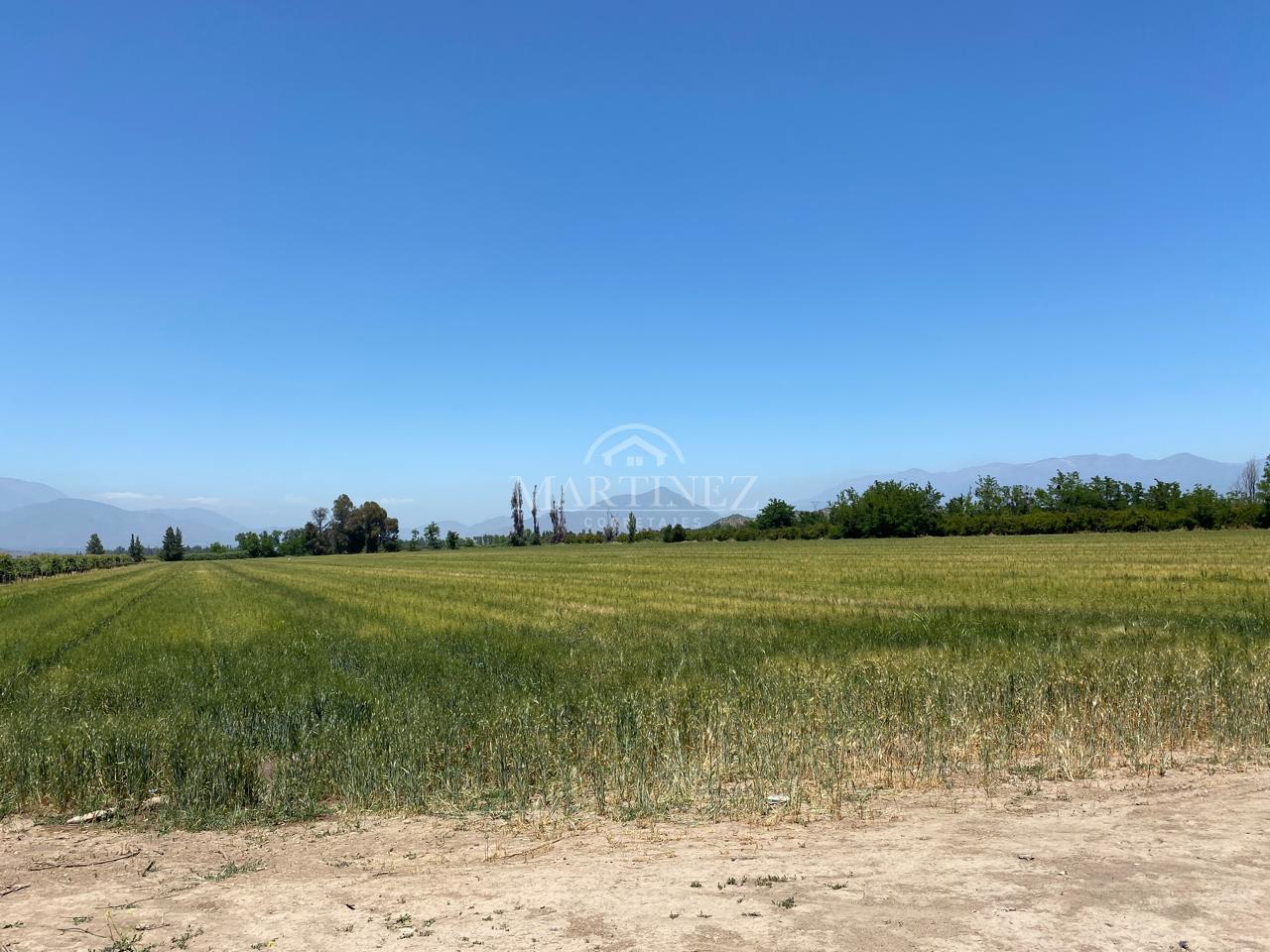 Venta Excelente Terreno Agrícola, Cruz Del Sur, Alto Jahuel