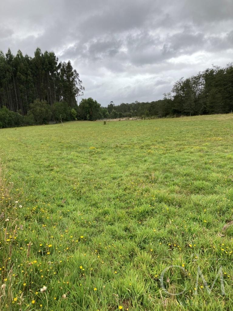 Se vende parcela en Loncotoro Llanquihue