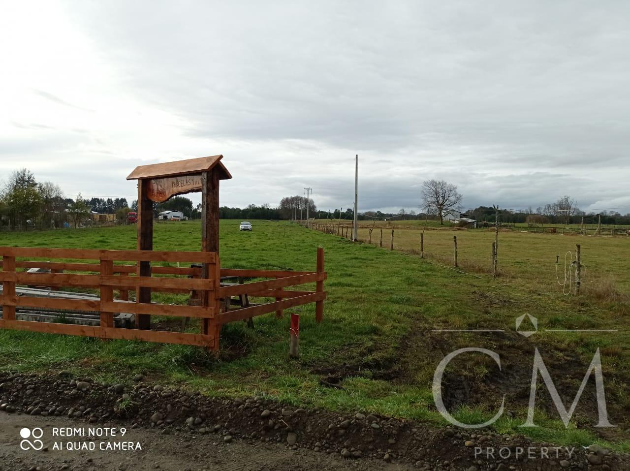 Hermosas Parcelas camino Los Lagos-Panguipulli