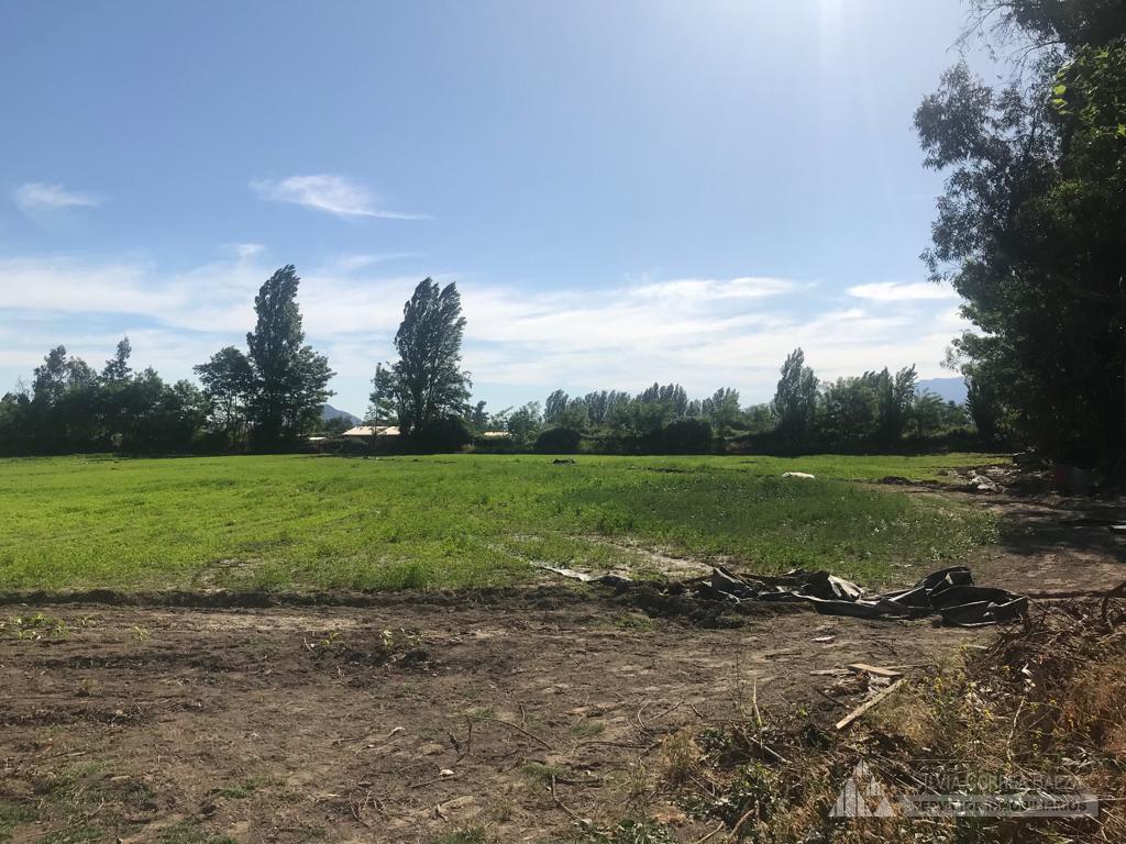 Terreno Olivar Alto - Centro