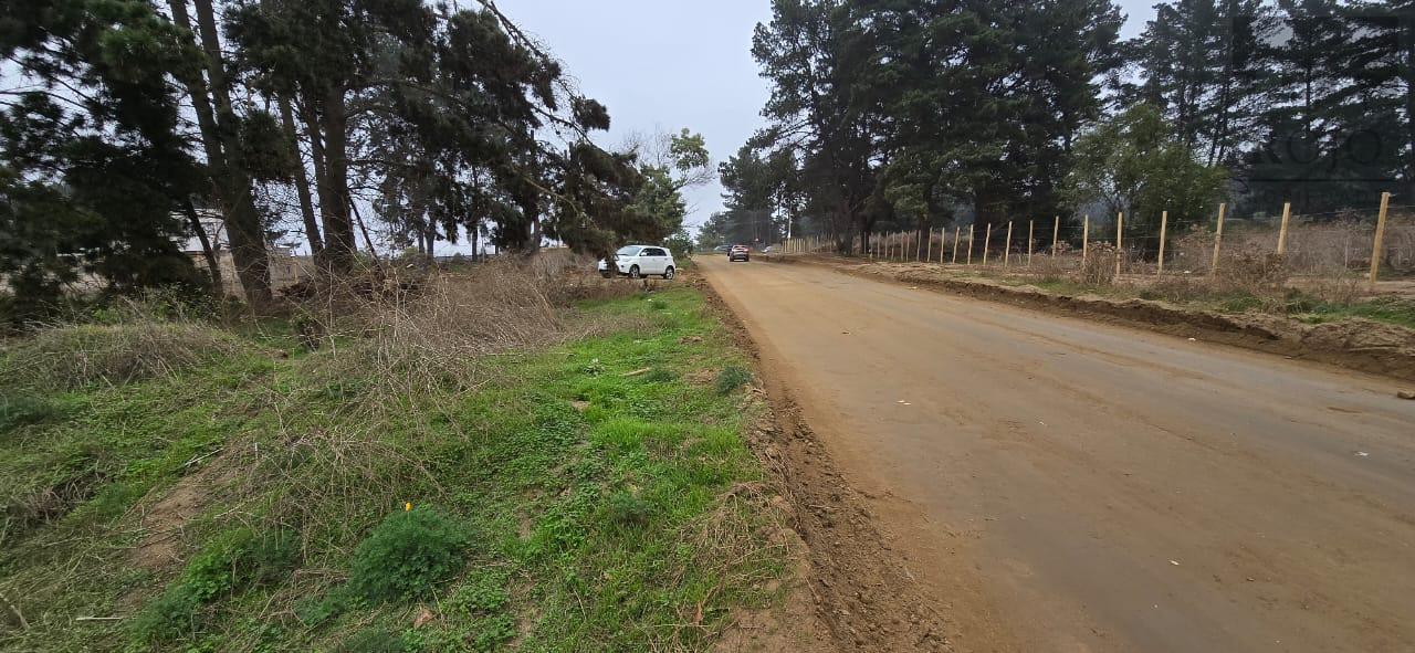 Reñaca, Los Pinos, terreno 500 M2, a pasos de camino Internacional