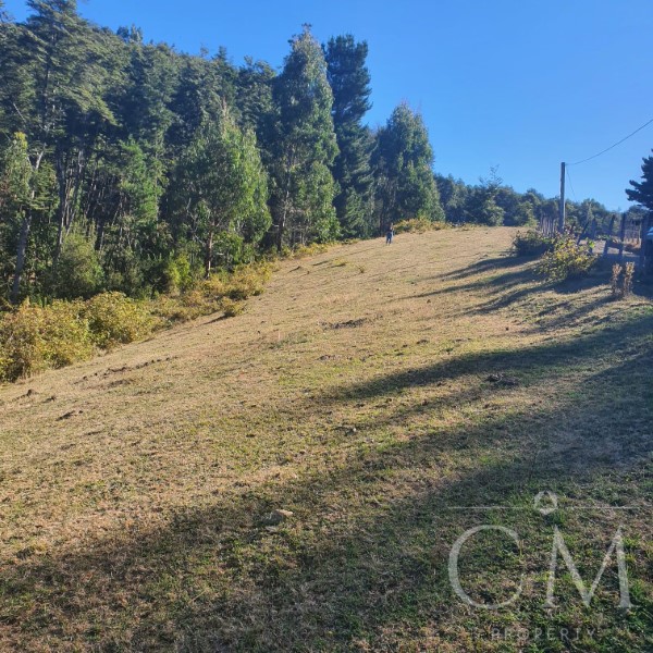 Parcela cercana a Valdivia sector Rincon de la Piedra